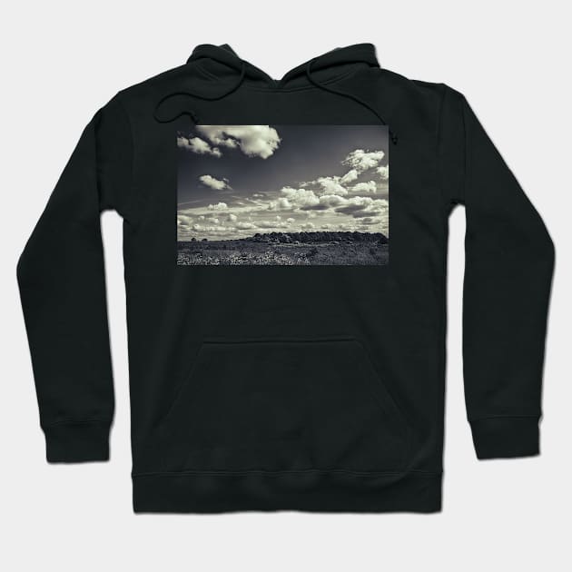 Sky Dancers Hoodie by InspiraImage